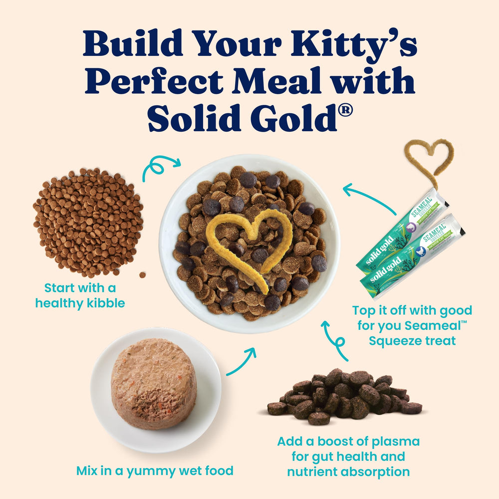 Solid Gold coconut oil formula close-up highlights glossy coat benefits