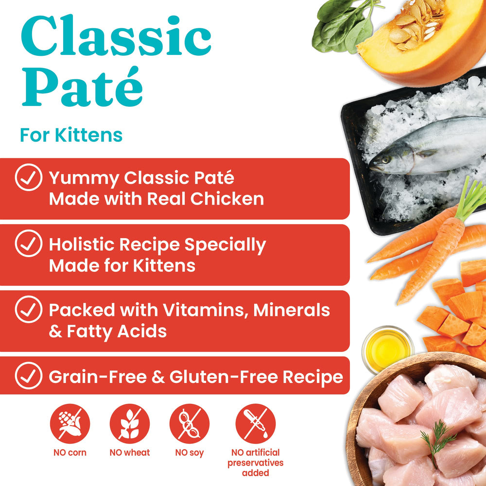 Solid Gold wet cat food pate kitten serving showcases tenderness for picky eaters