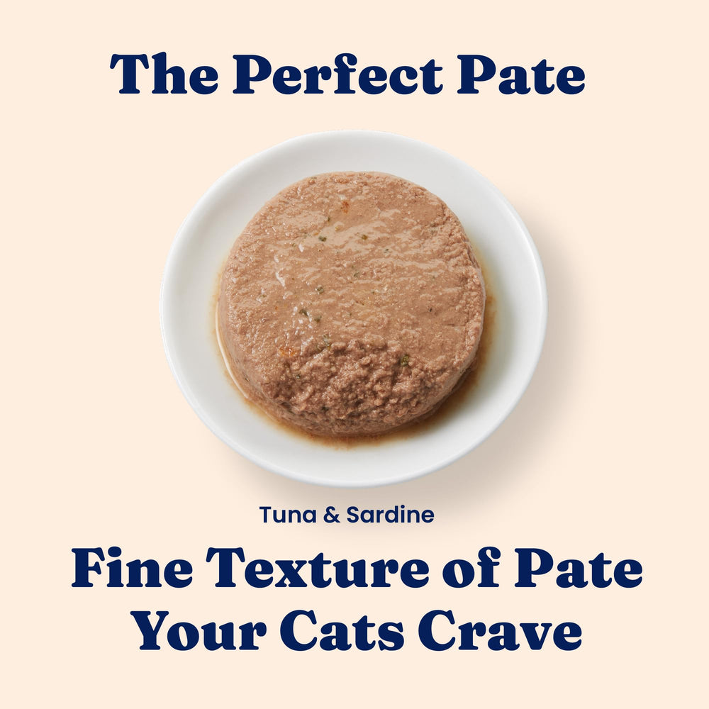 Solid Gold wet cat food pate texture detail reveals smooth pate ideal for sensitive stomachs and meals