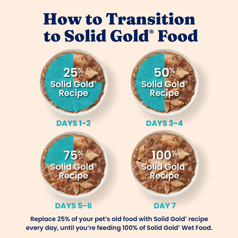 Solid Gold Wet Cat Food Shreds in Gravy kitten-mealtime image conveys soft texture.