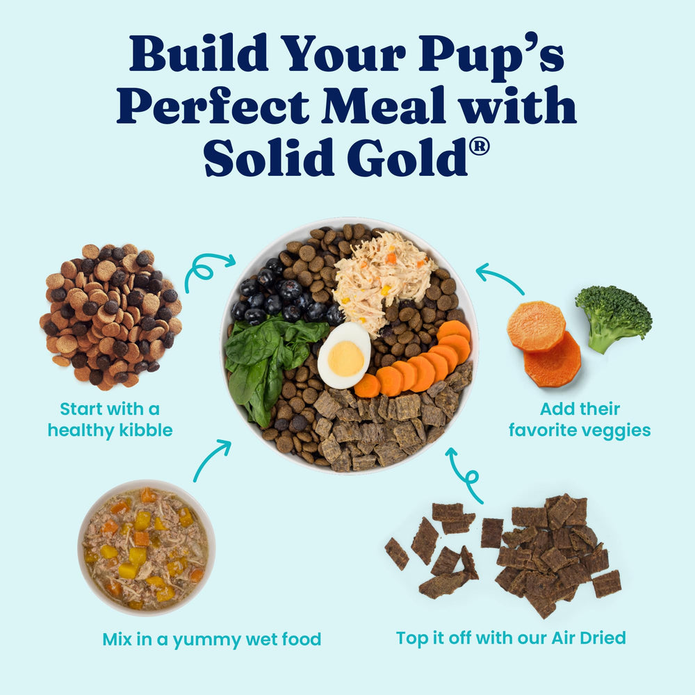 Solid Gold Wet Dog Food Topper large-breed serving supports joint-friendly nutrition