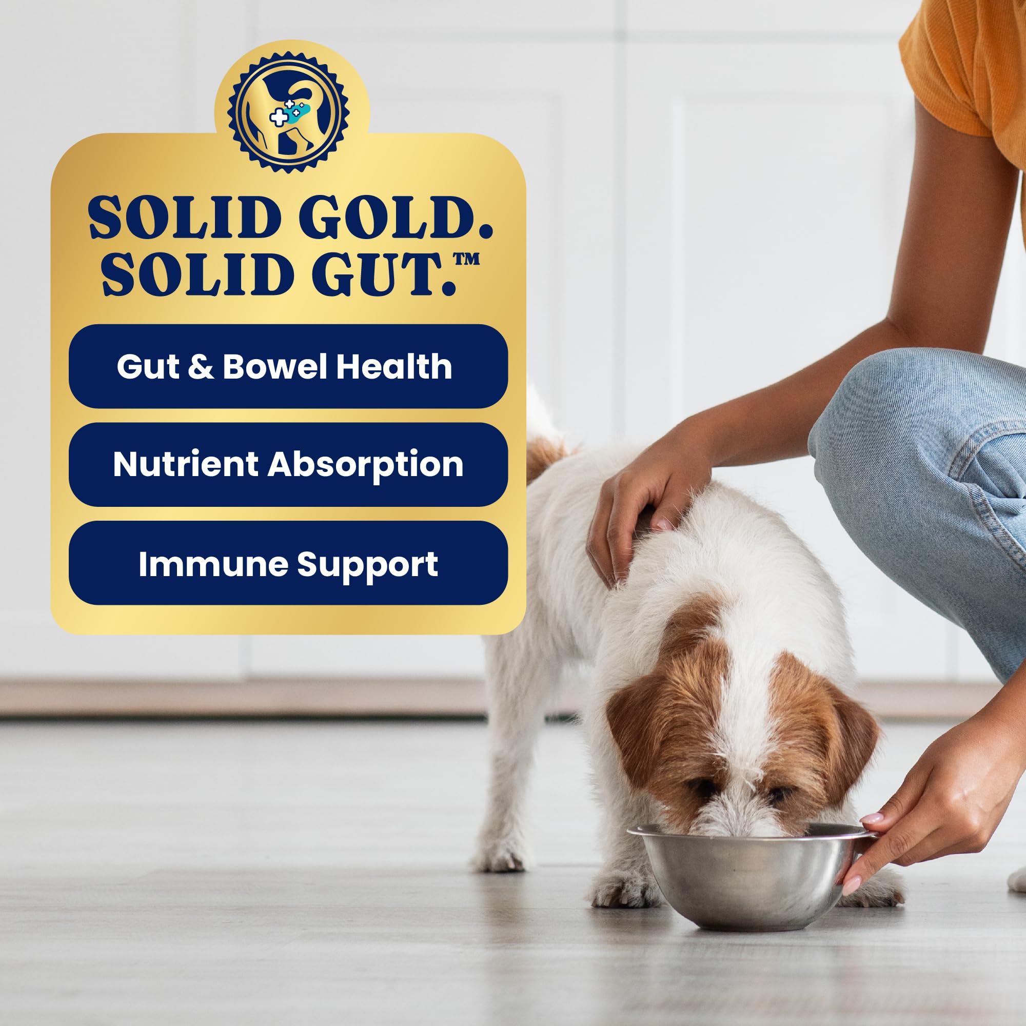Solid Gold Wet Dog Food Topper small-breed serving ideal for puppies