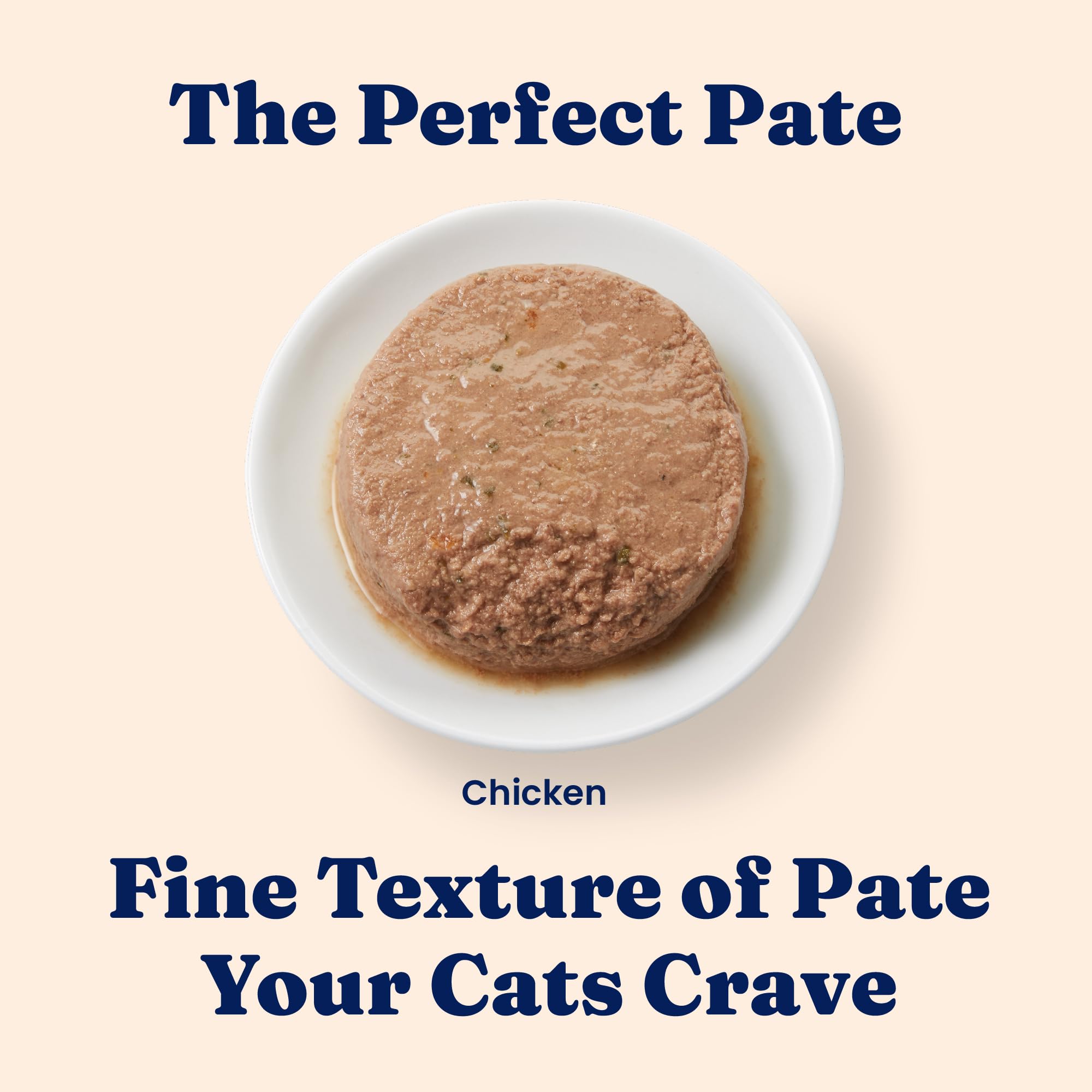 Solid Gold Wet Food Pate Flavorful Feast serving bowl highlights smooth texture for palates and hydration