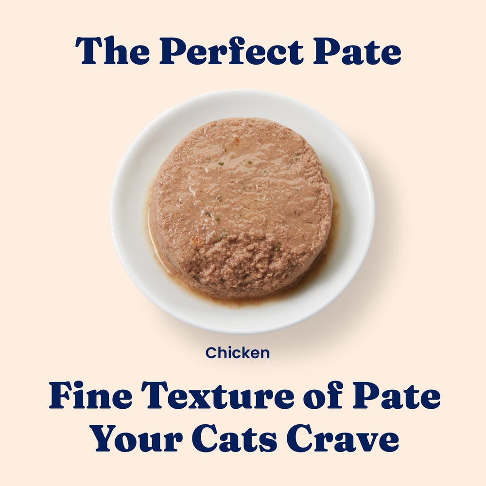 Solid Gold Wet Food Pate Flavorful Feast serving bowl highlights smooth texture for palates and hydration