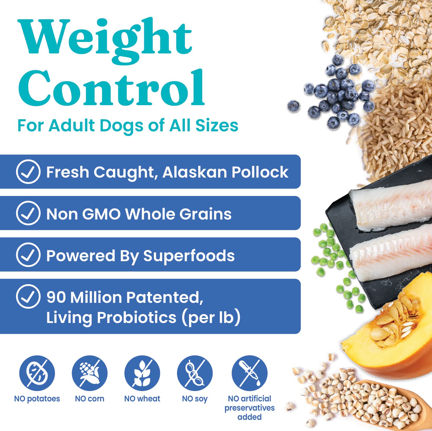 Solid Gold whole-grain-recipe brown-rice kibble shot highlighting fiber-rich nutrition