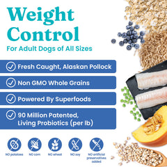 Solid Gold whole-grain-recipe brown-rice kibble shot highlighting fiber-rich nutrition