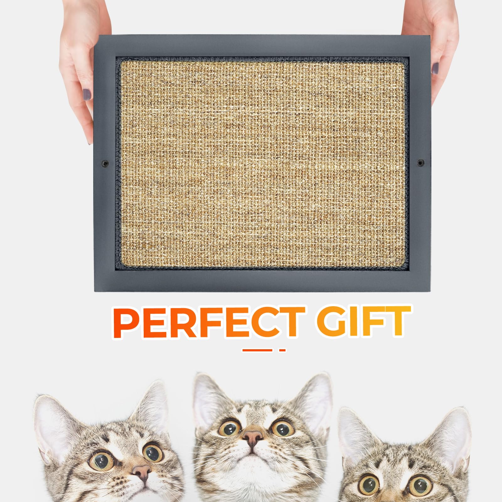 SolidChoice anti-slip base and secure edges improve stability during vigorous scratching.