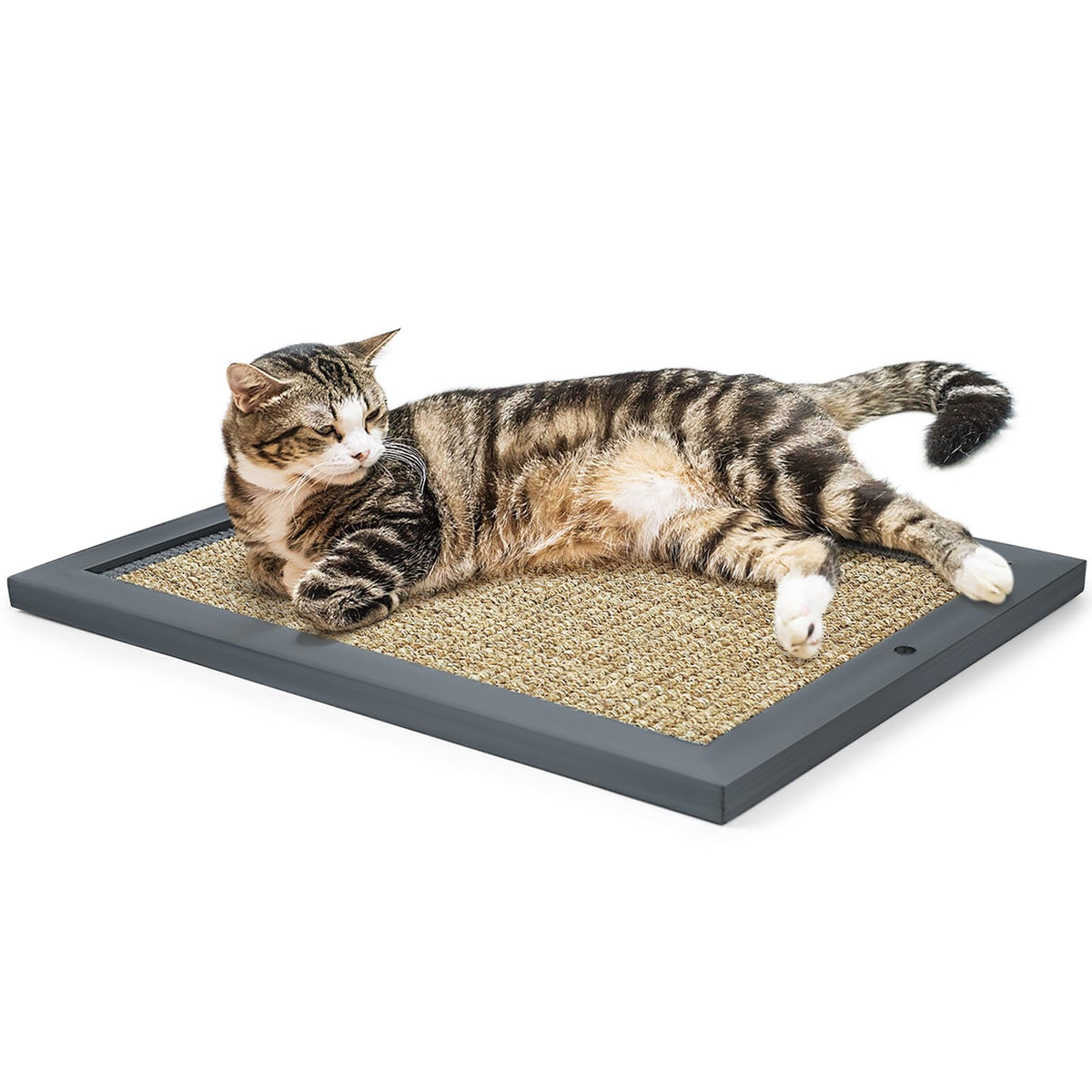SolidChoice cat scratching post with wooden frame and natural sisal protects furniture during play.