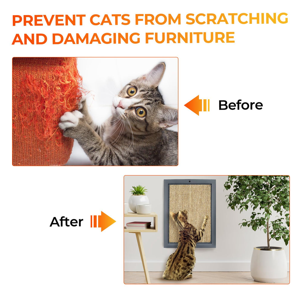 SolidChoice wall-mounted installation view demonstrates quick setup for instant scratching fun.