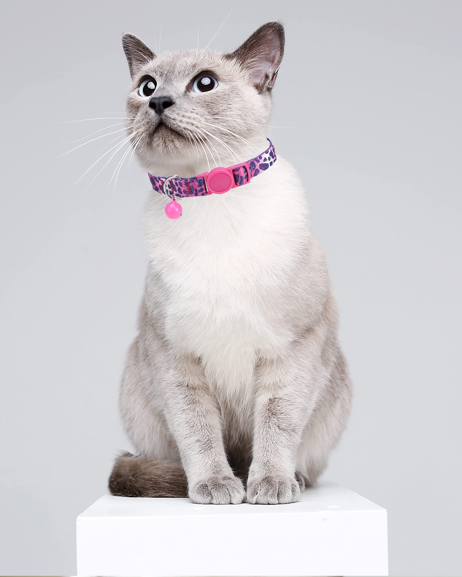 SOLMOONY cat collar adjustable safety buckle—gentle release during play.