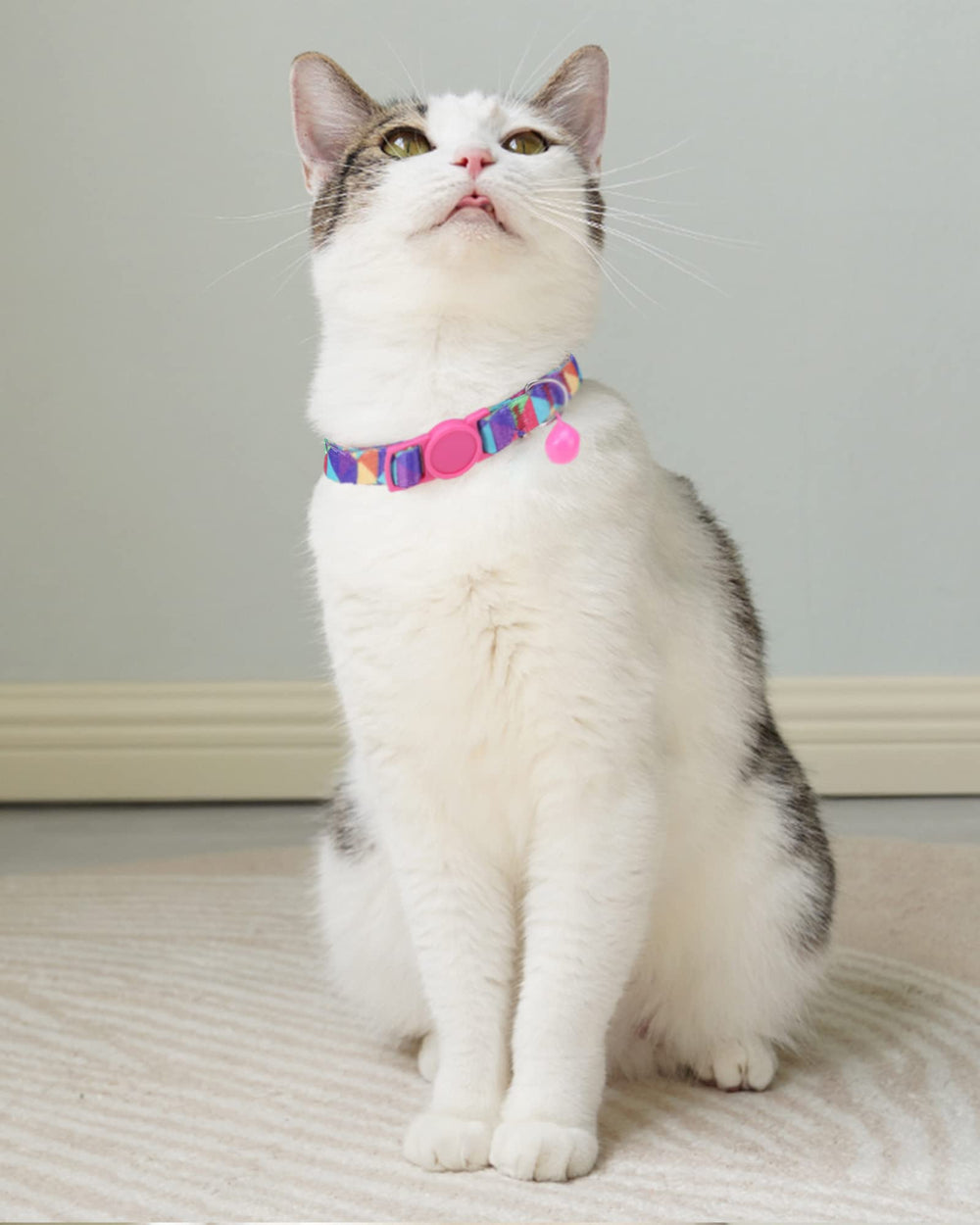 SOLMOONY cat collar colorful design pack—high visibility for easy night spotting.