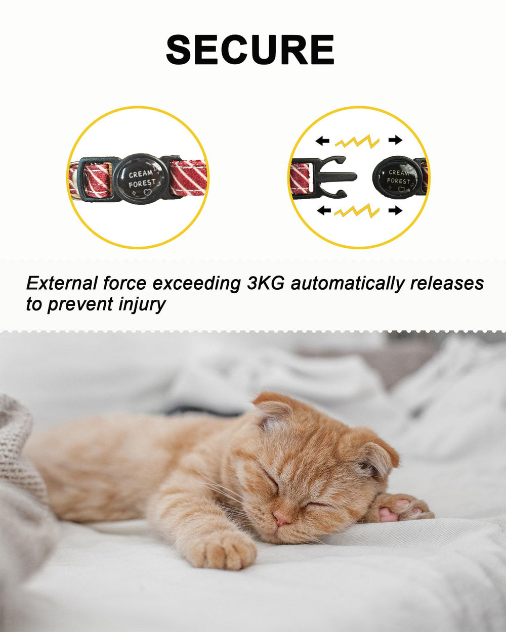 Solmoony white-striped collar keeps kittens stylish during parties and weddings.