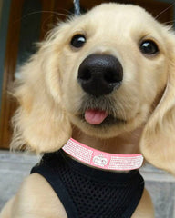 SOLMOONY durable zinc alloy fasteners dog collar pink resist rust.