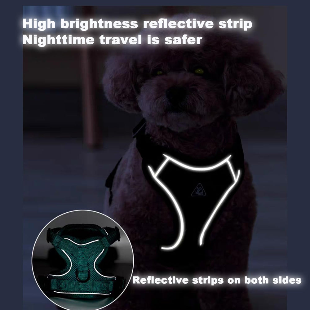 SOLMOONY harness set packaging shows included harness and leash.