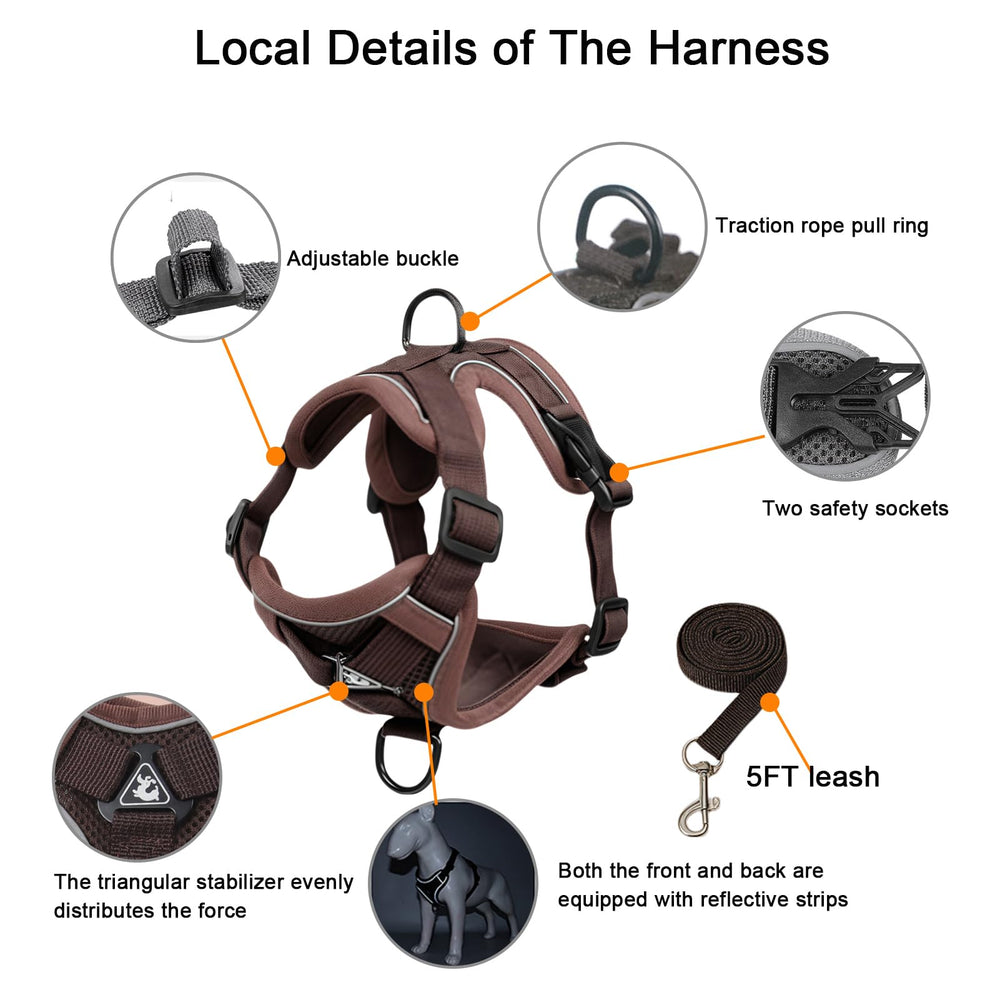 SOLMOONY 150 cm nylon leash illustrates sturdy, comfortable control.