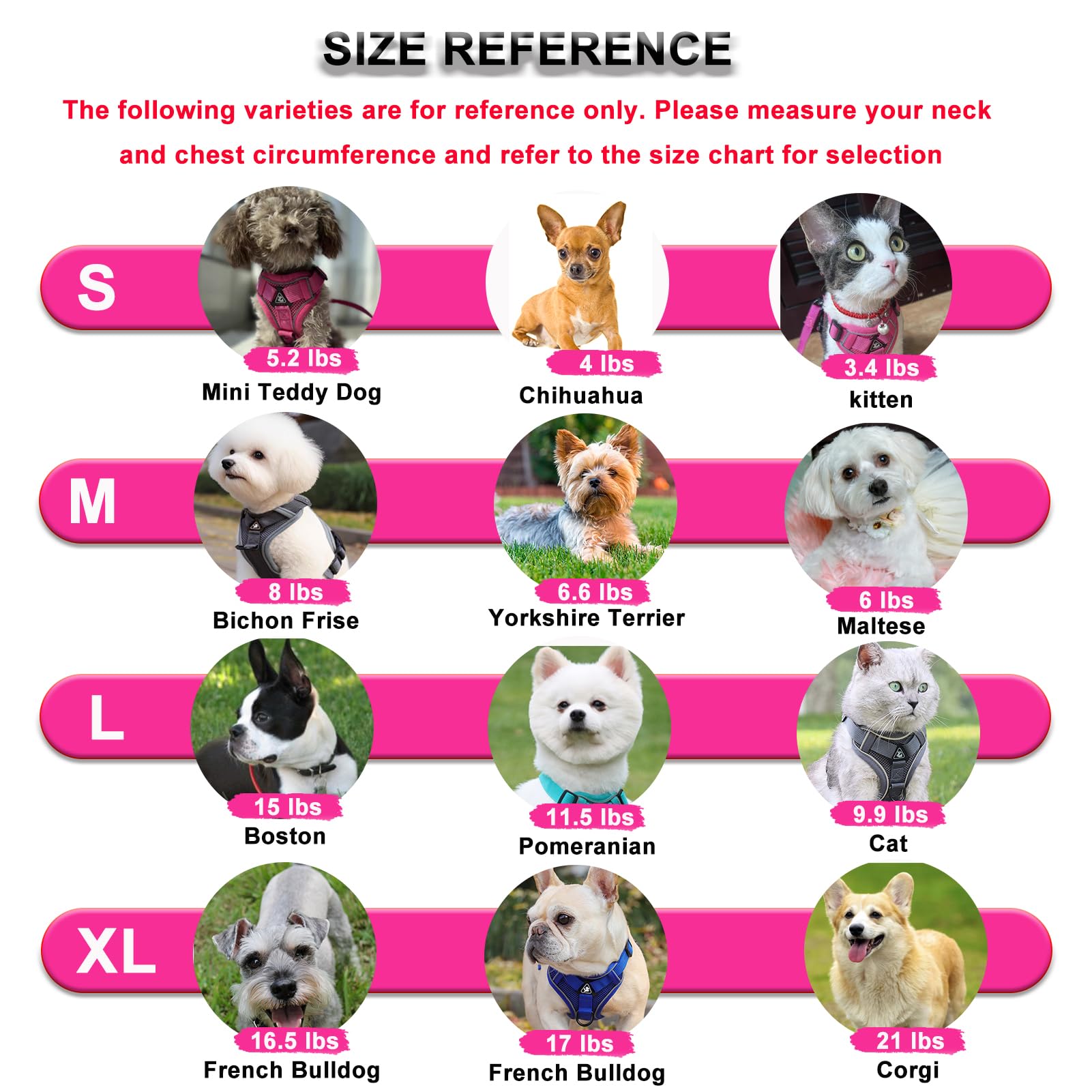 SOLMOONY puppy harness shows breathable mesh and lightweight design for outdoor adventures.