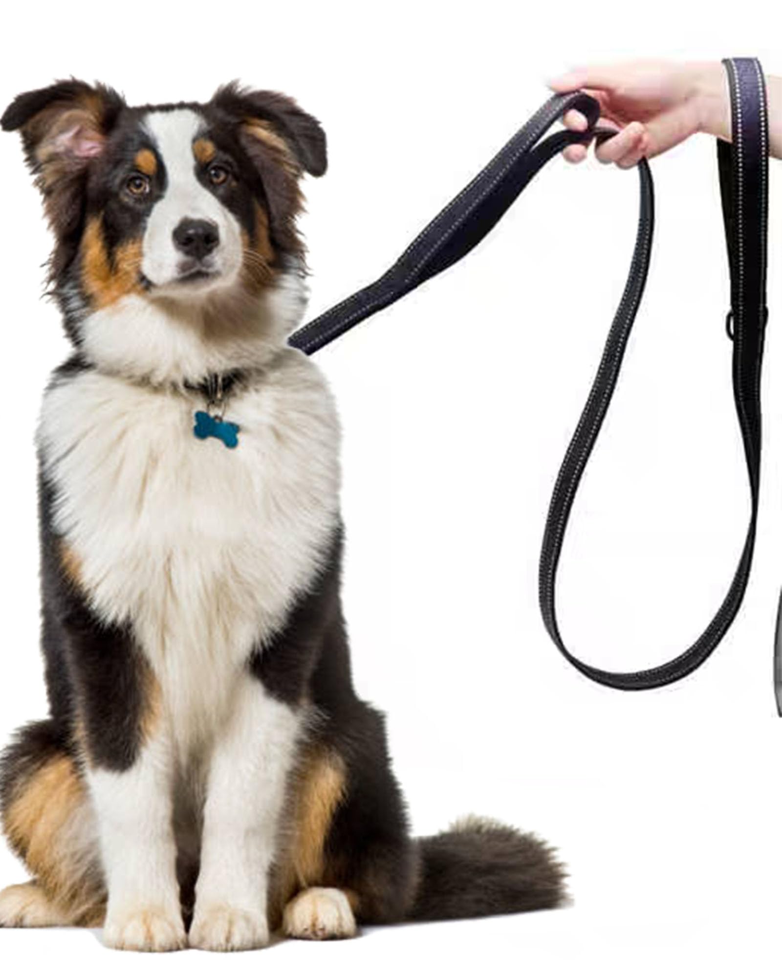 SOLMOONY rust-proof D-ring keeps keys or bags handy on walks.