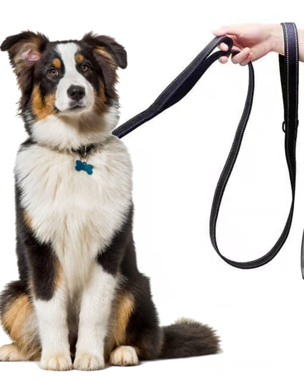 SOLMOONY rust-proof D-ring keeps keys or bags handy on walks.