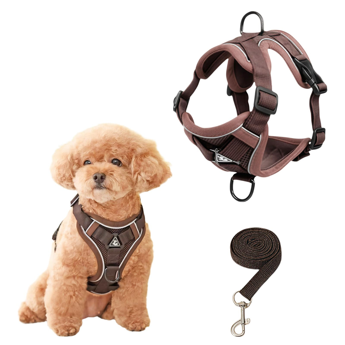 SOLMOONY small dog harness front view for secure daily walks and training.