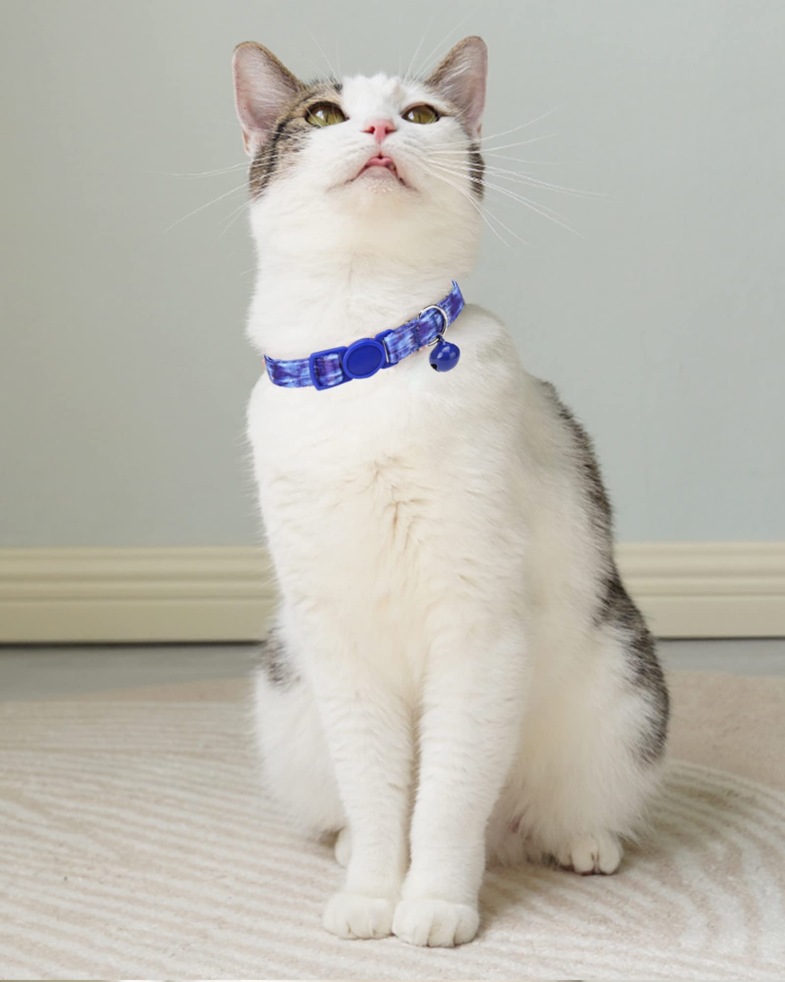 SOLMOONY two-pack design image showcasing interchangeable styles for mixed looks