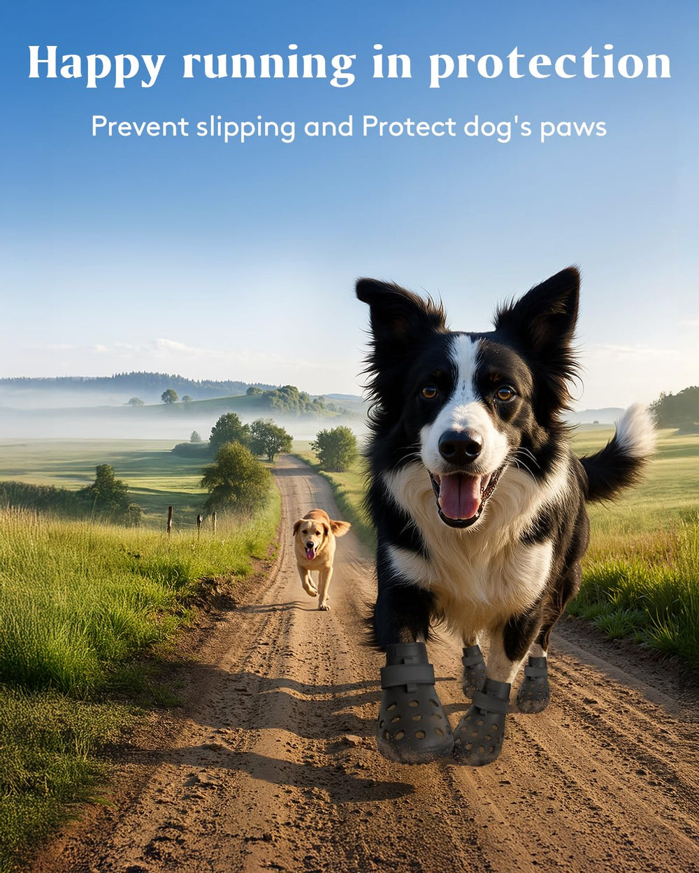 SOLOWINNER waterproof-dog-boots stay dry and clean through wet outings.