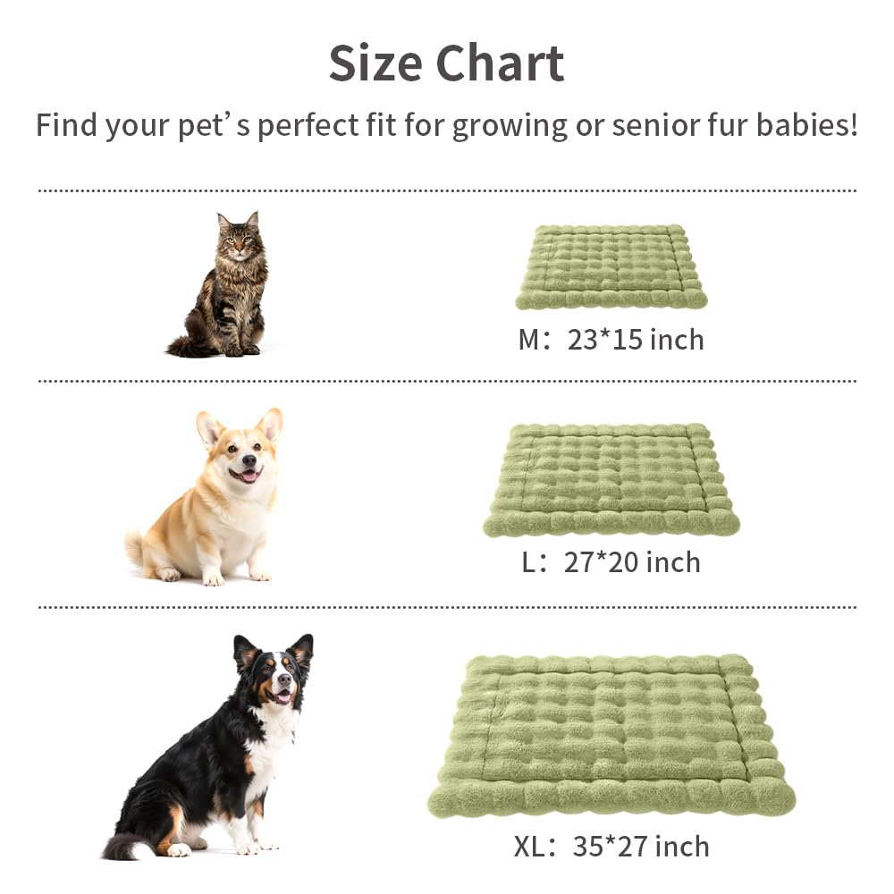 SOMAHE cat bed carrier-ready green shows easy transport and setup
