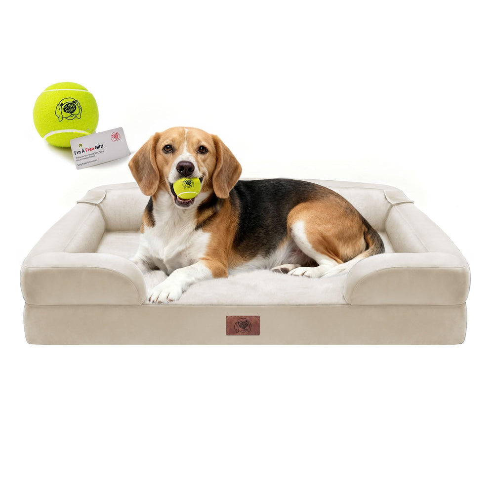Song Puppy orthopedic bed large 36x27 in use with joint-supporting comfort