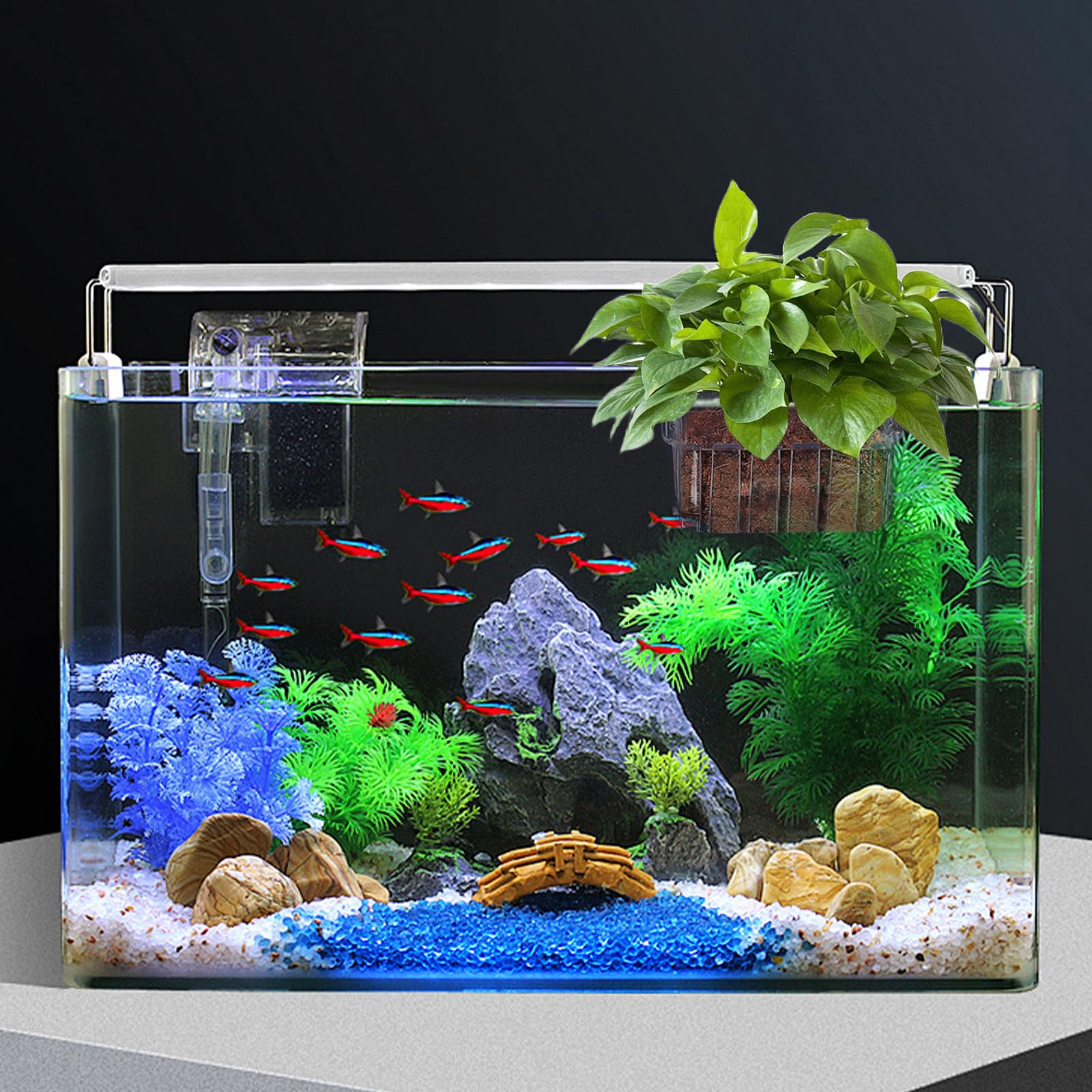 SONGFANGXI aquaponics-friendly plant holder enables versatile planting in freshwater or saltwater tanks.