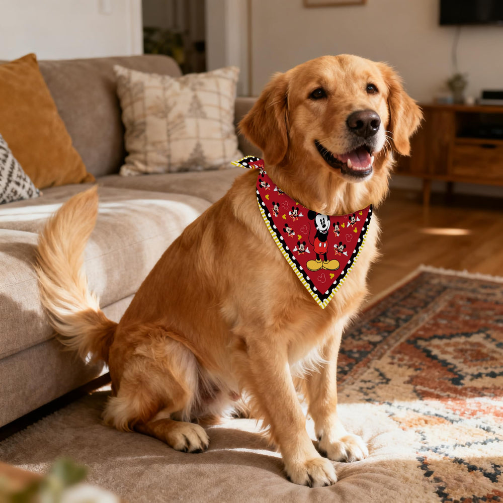 Songtsam Christmas dog clothes for festive family gatherings and treats.