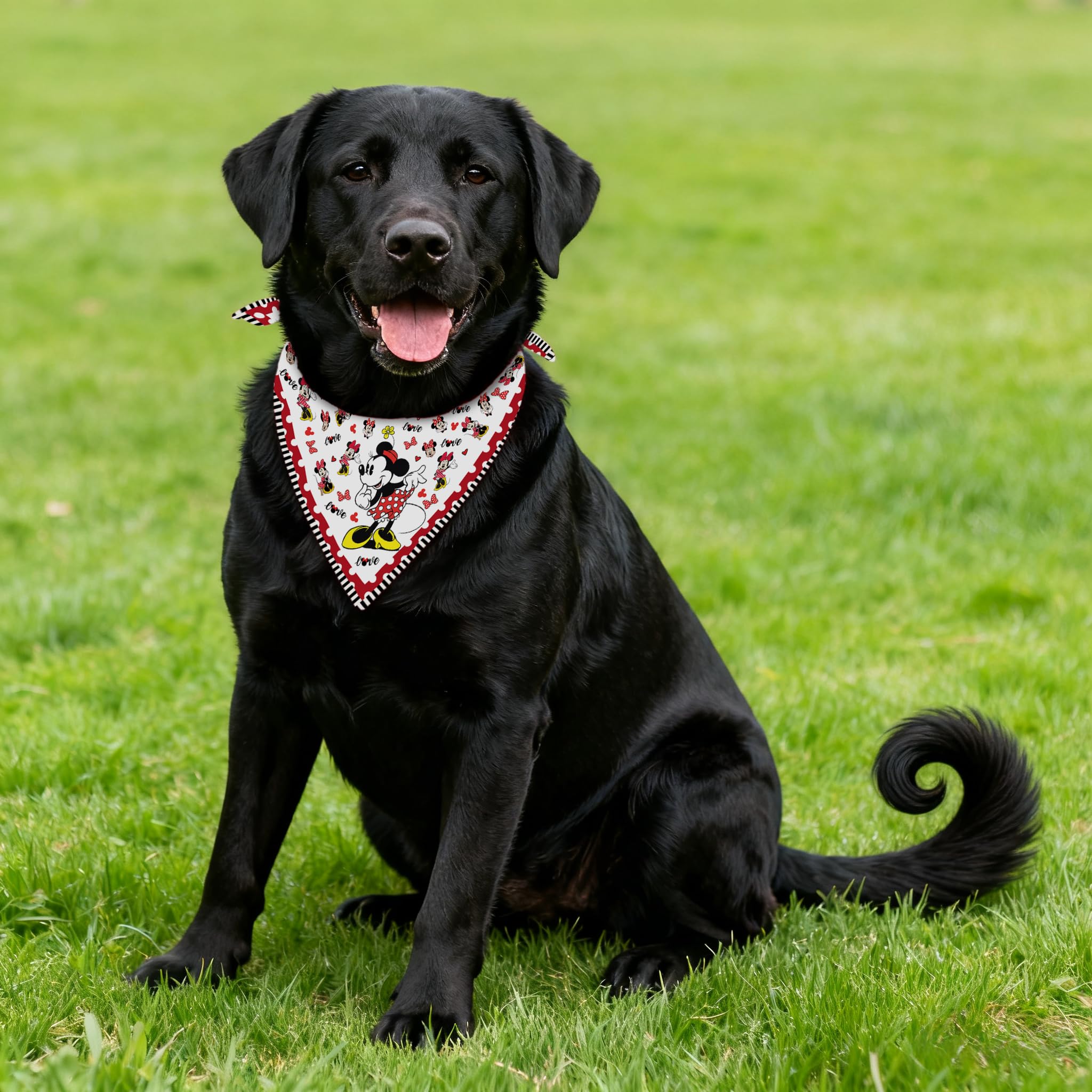 Songtsam adjustable bandana for medium to large dogs, easy on/off.