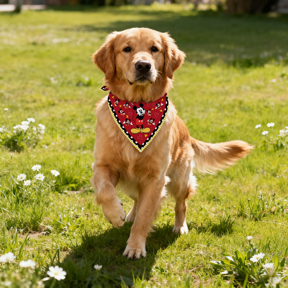 Songtsam puppy scarf in Merry Christmas design, perfect for party outfits.