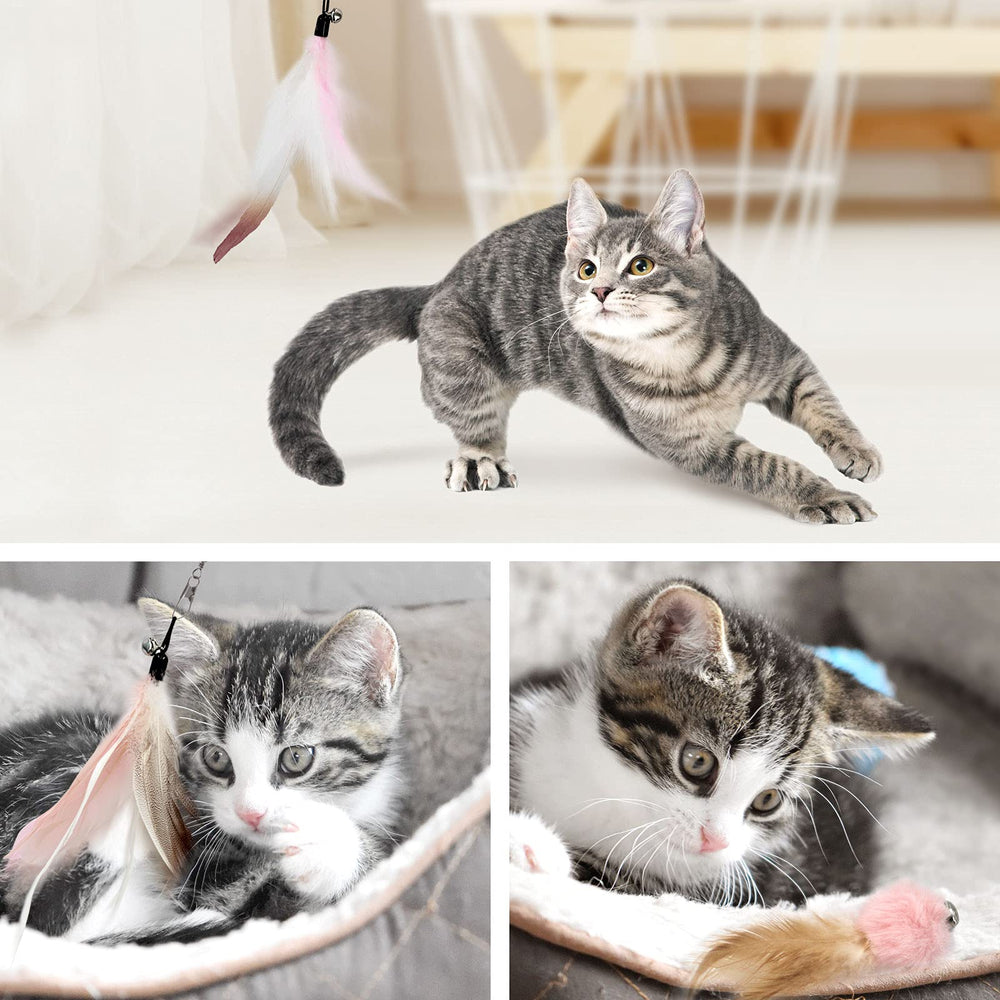 SONGWAY indoor play scene shows cats bonding through interactive feather play