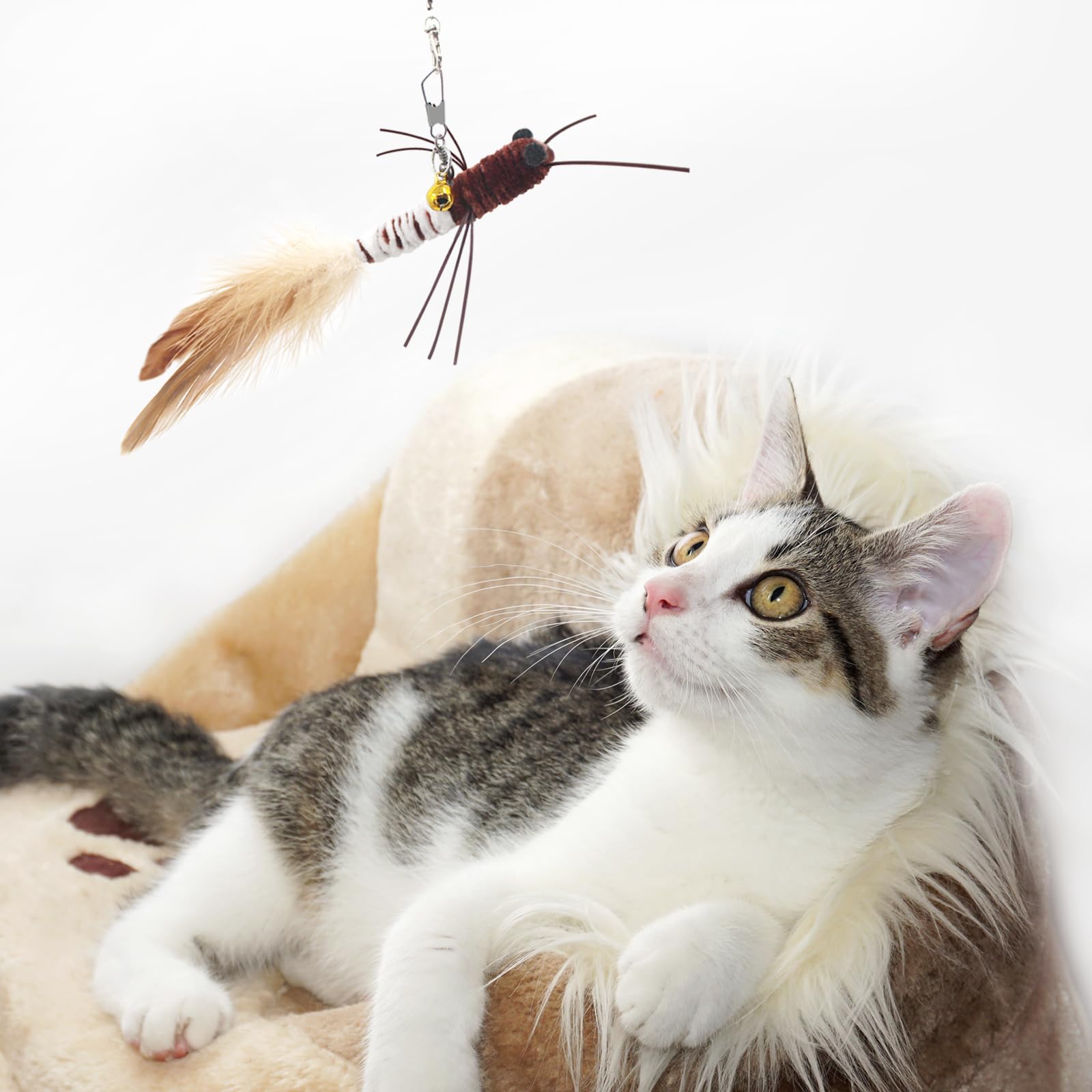 SongWay indoor interactive cat toys encourage exercise and hunting-like activity.