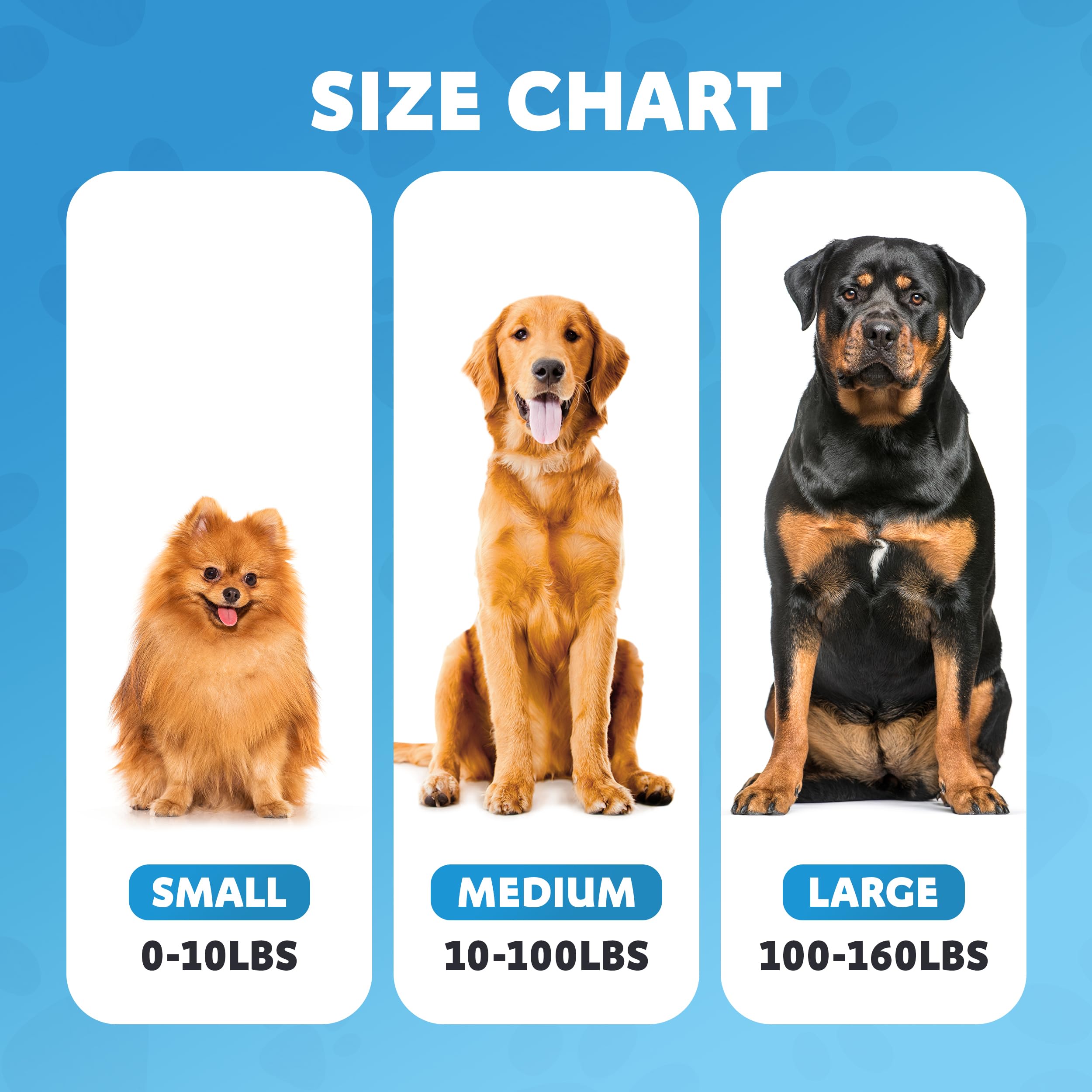 SONGZHIHAO Double Dog Leash two-dog-walk keeps both pets in sync.