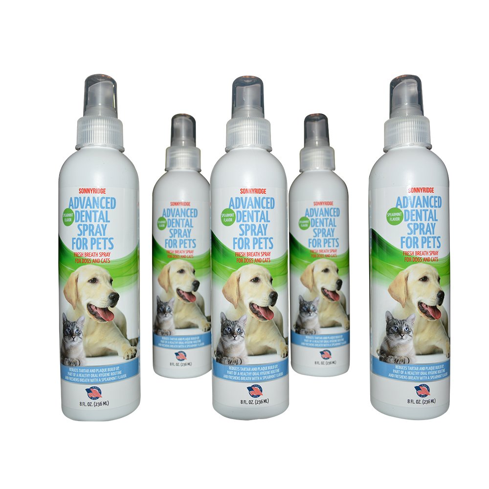 Sonnyridge dental spray application onto teeth and gums for quick relief of bad breath.