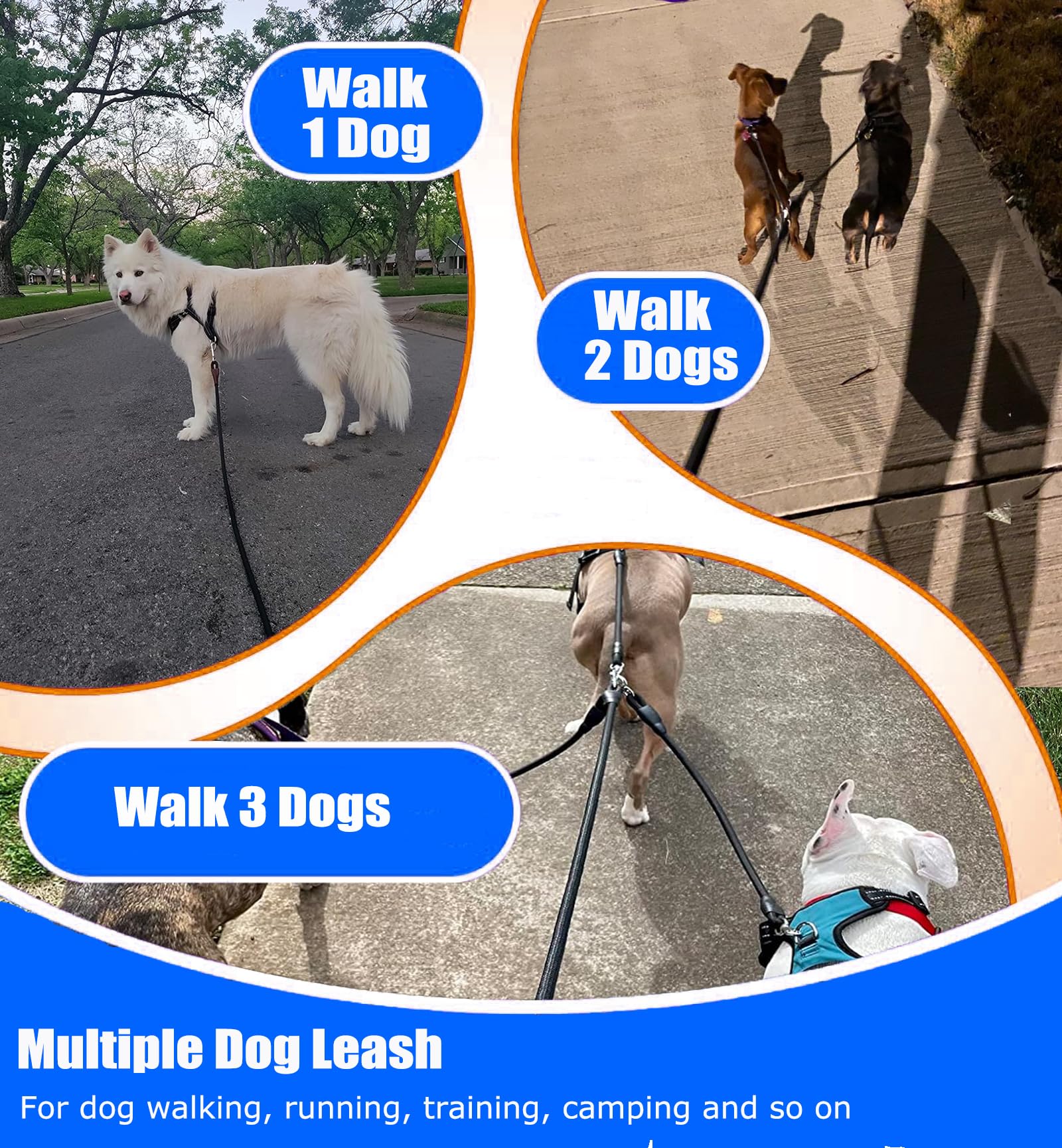 SONQUEEN assisting leash supports three-dog setups with smooth handling