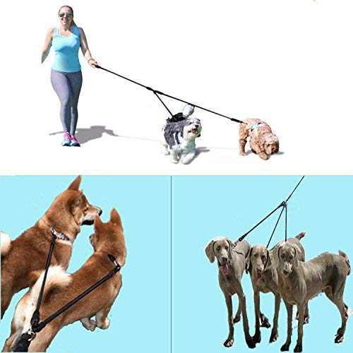 SONQUEEN durable materials support daily multi-dog outings