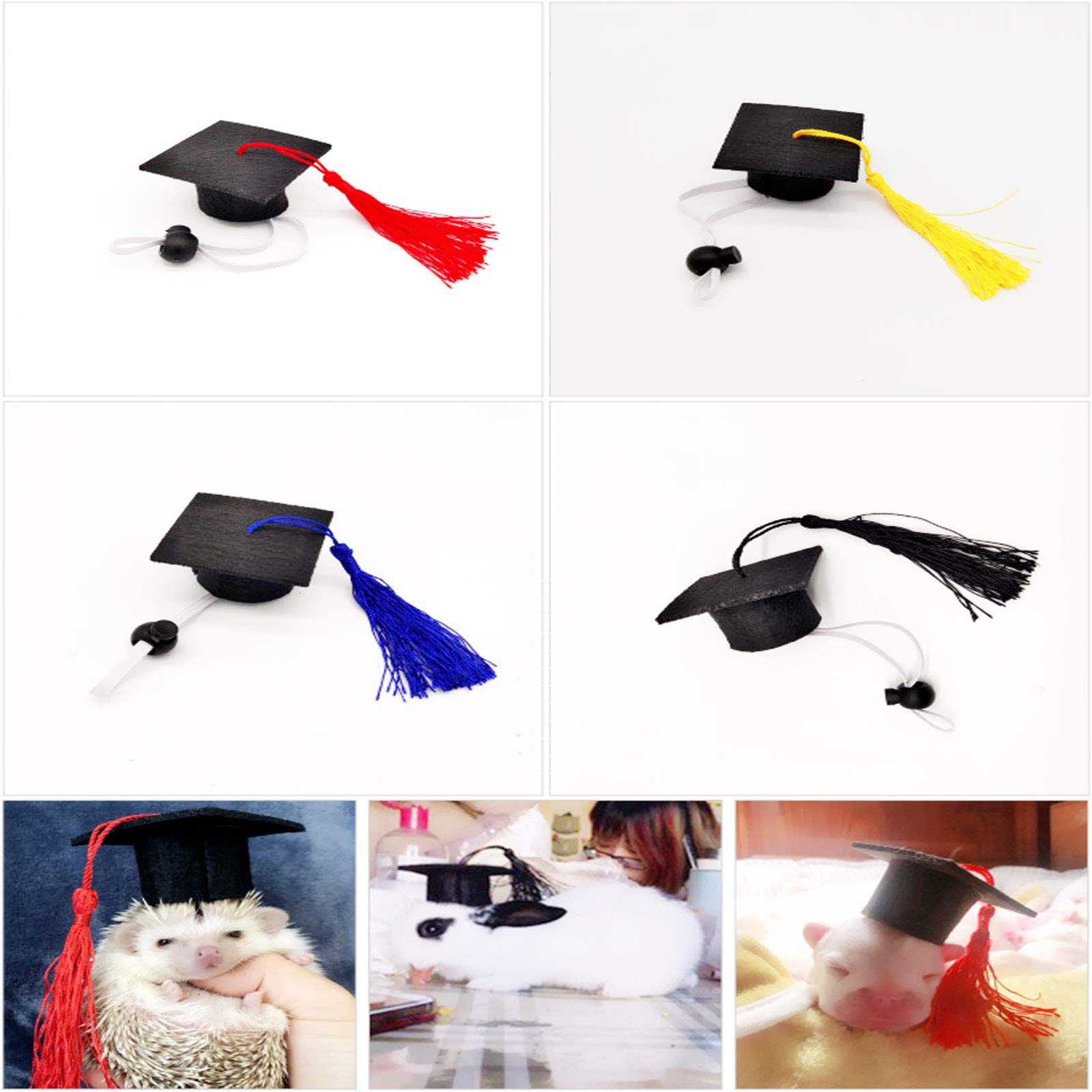 Soochat mini cap on a guinea pig, ideal for festive party decorations.