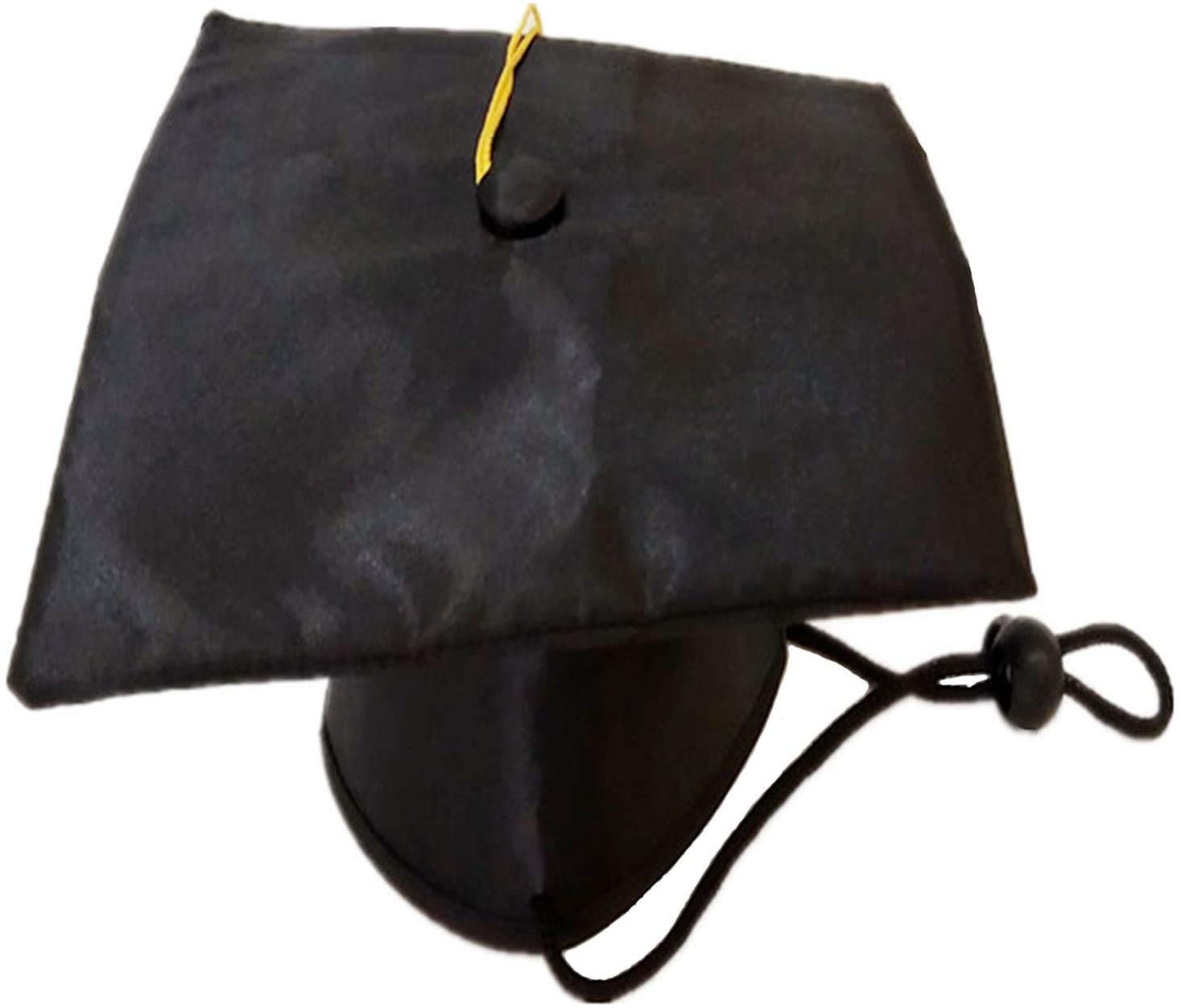 Soochat pet graduation cap during a photoshoot for festive portraits.