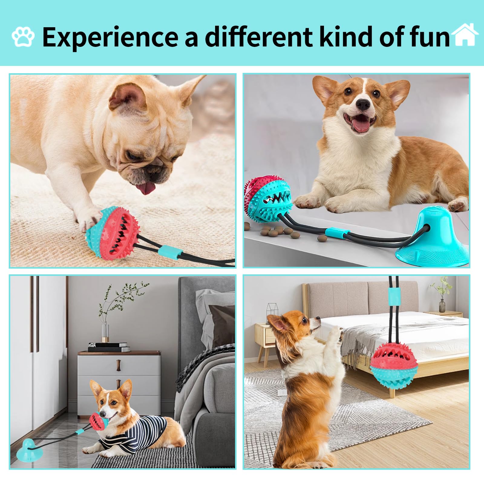 Soottaci durable natural TPR chew toy withstands tough chews for long-lasting play.