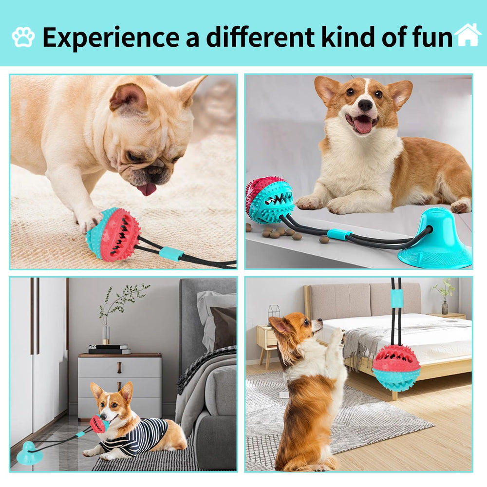 Soottaci durable natural TPR chew toy withstands tough chews for long-lasting play.