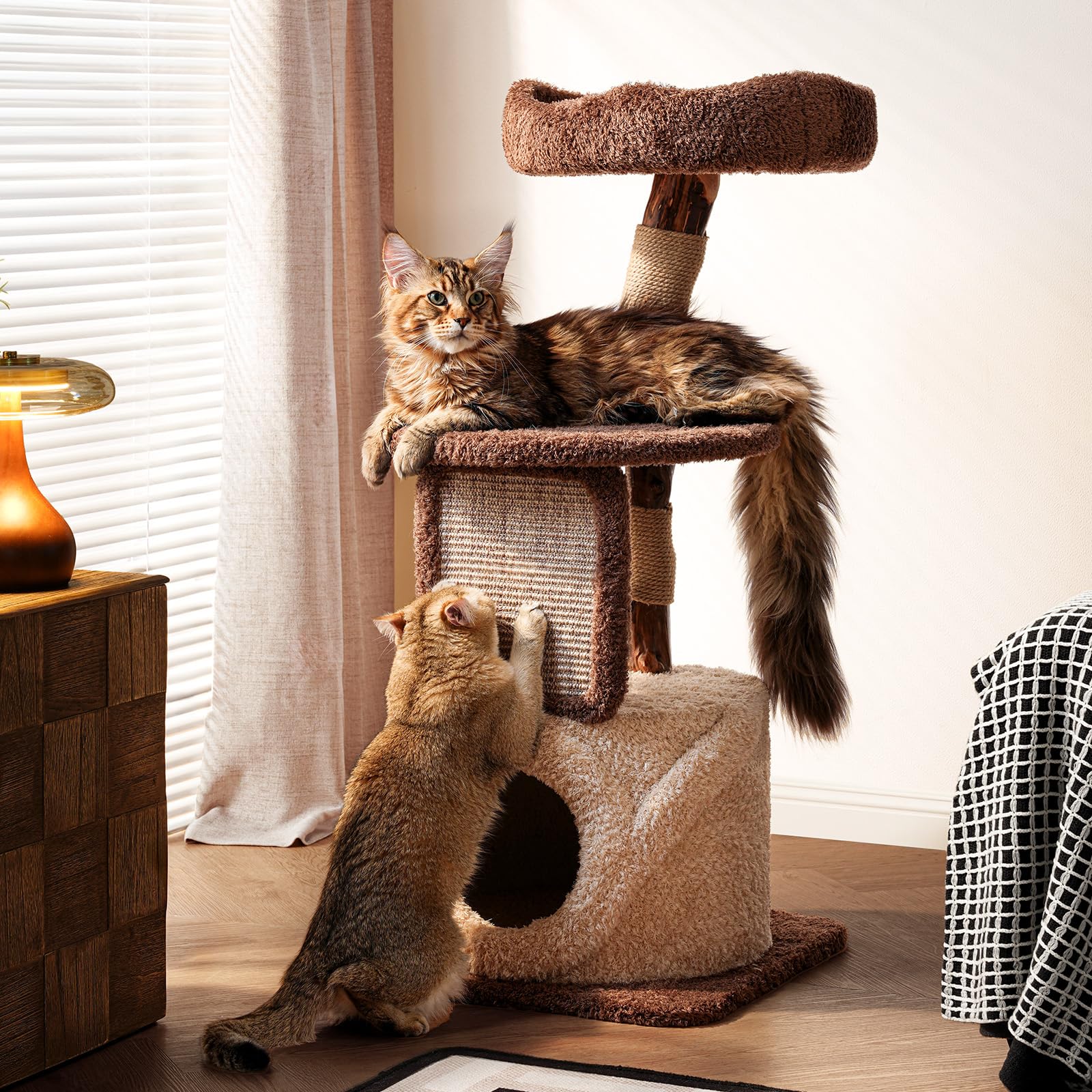 Sopapets 40-inch cat tree base shows solid wood stability for safe indoor play