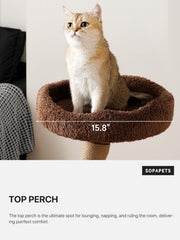 Sopapets 40-inch cat tree elevated perch offers a cozy observation spot