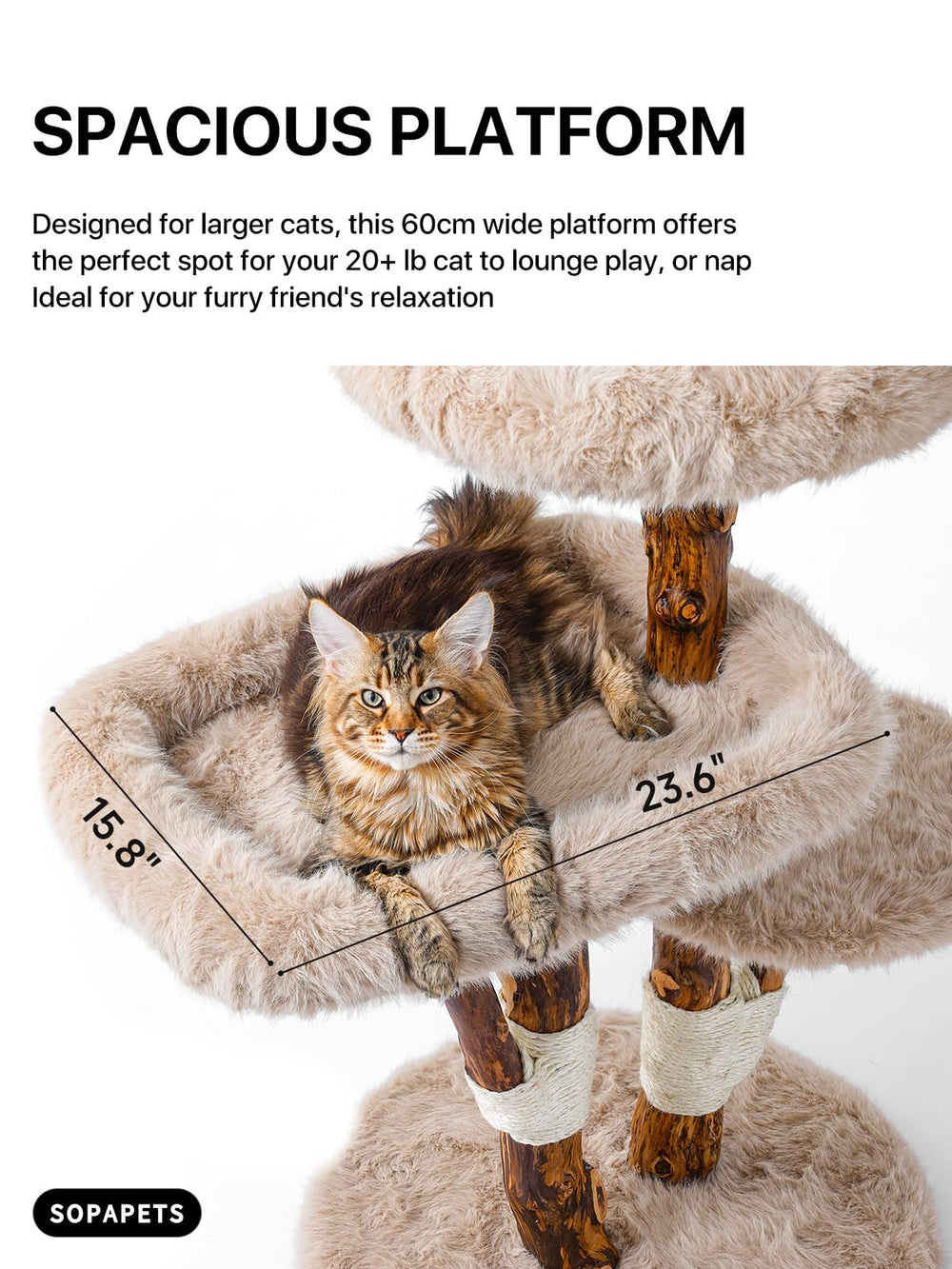 Sopapets Cat Tree perches and hideaway create cozy retreats for stress-free rest.