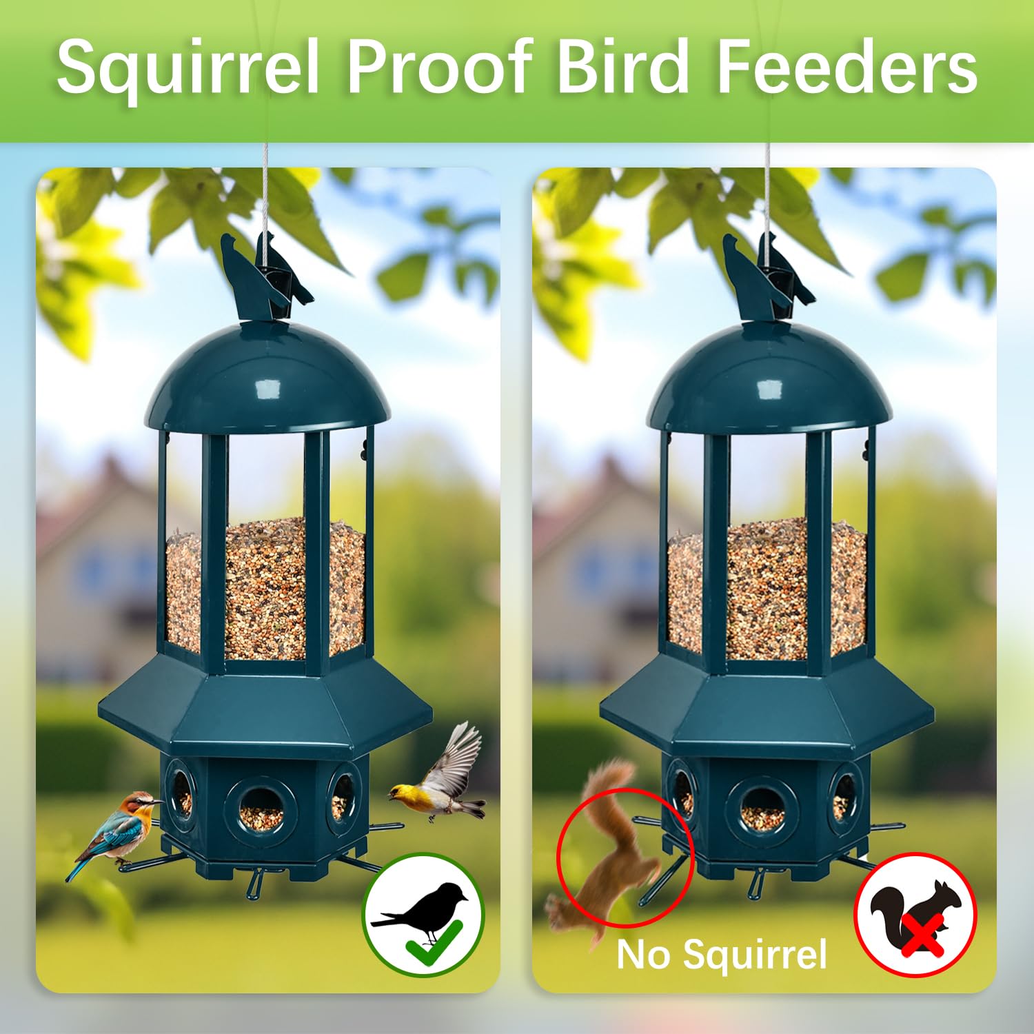Sorflife six openings design enables multiple birds to feed simultaneously.