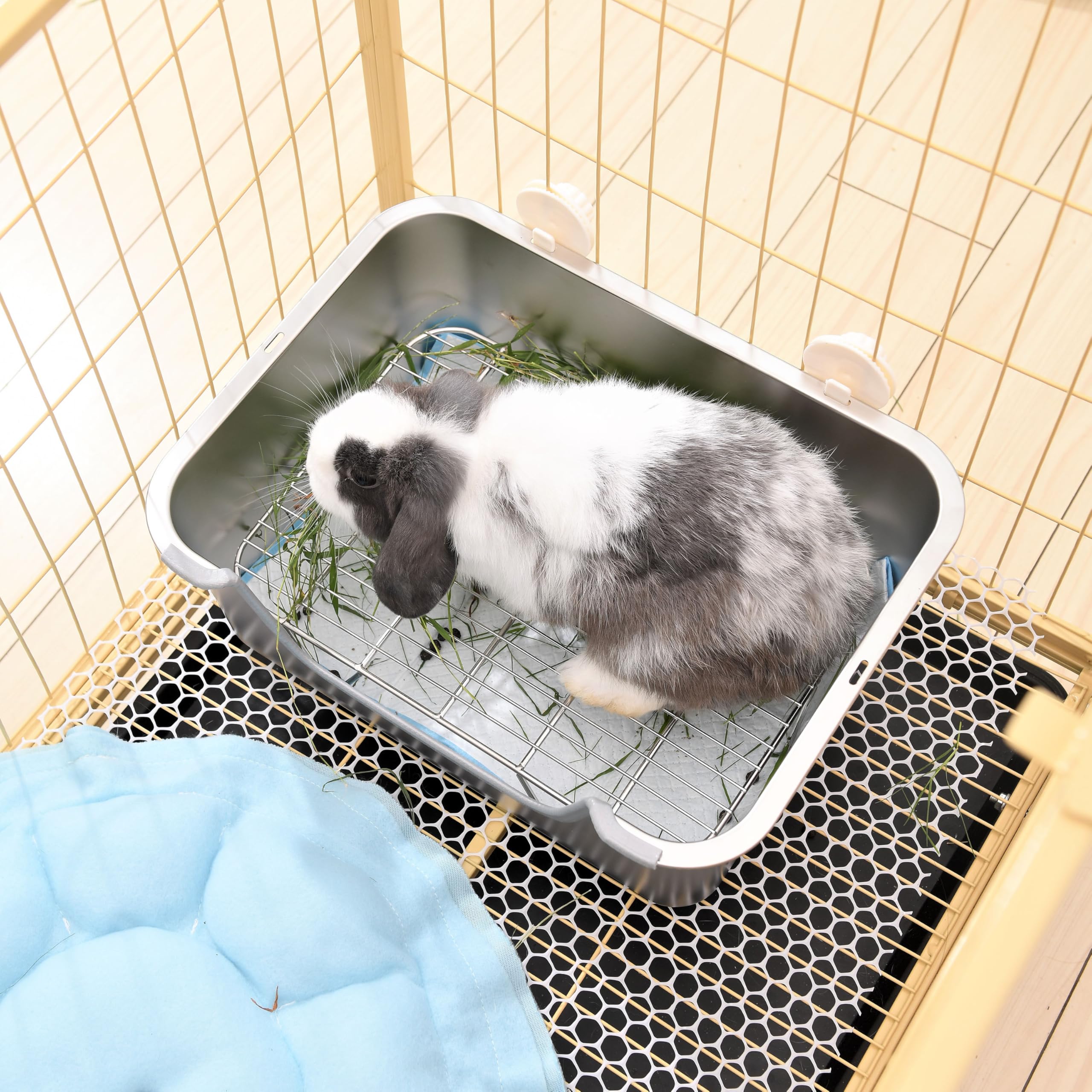 Sorstrem litter box fits inside rabbit caging for cleaner space.