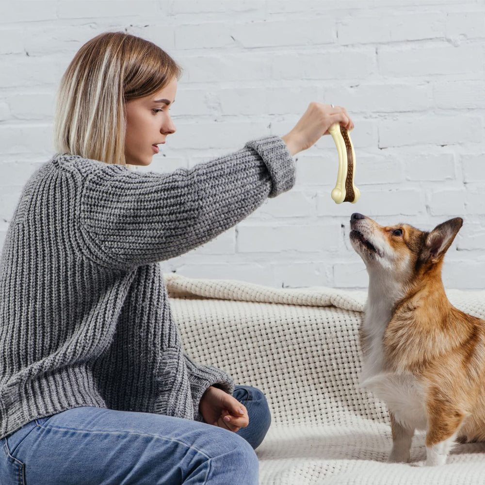 Sosation beef-flavor chew toy for dogs of all sizes supports teeth cleaning