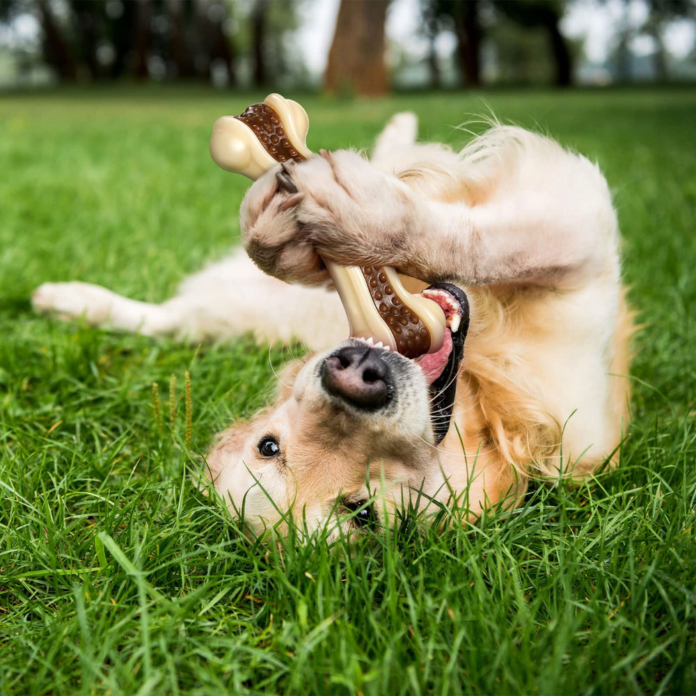 Sosation beef-flavor-infused toy highlights flavor-driven engagement during chewing sessions.