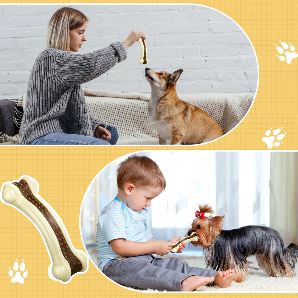 Sosation beef-flavored nylon chew—interactive bone toy for bonding with dogs.