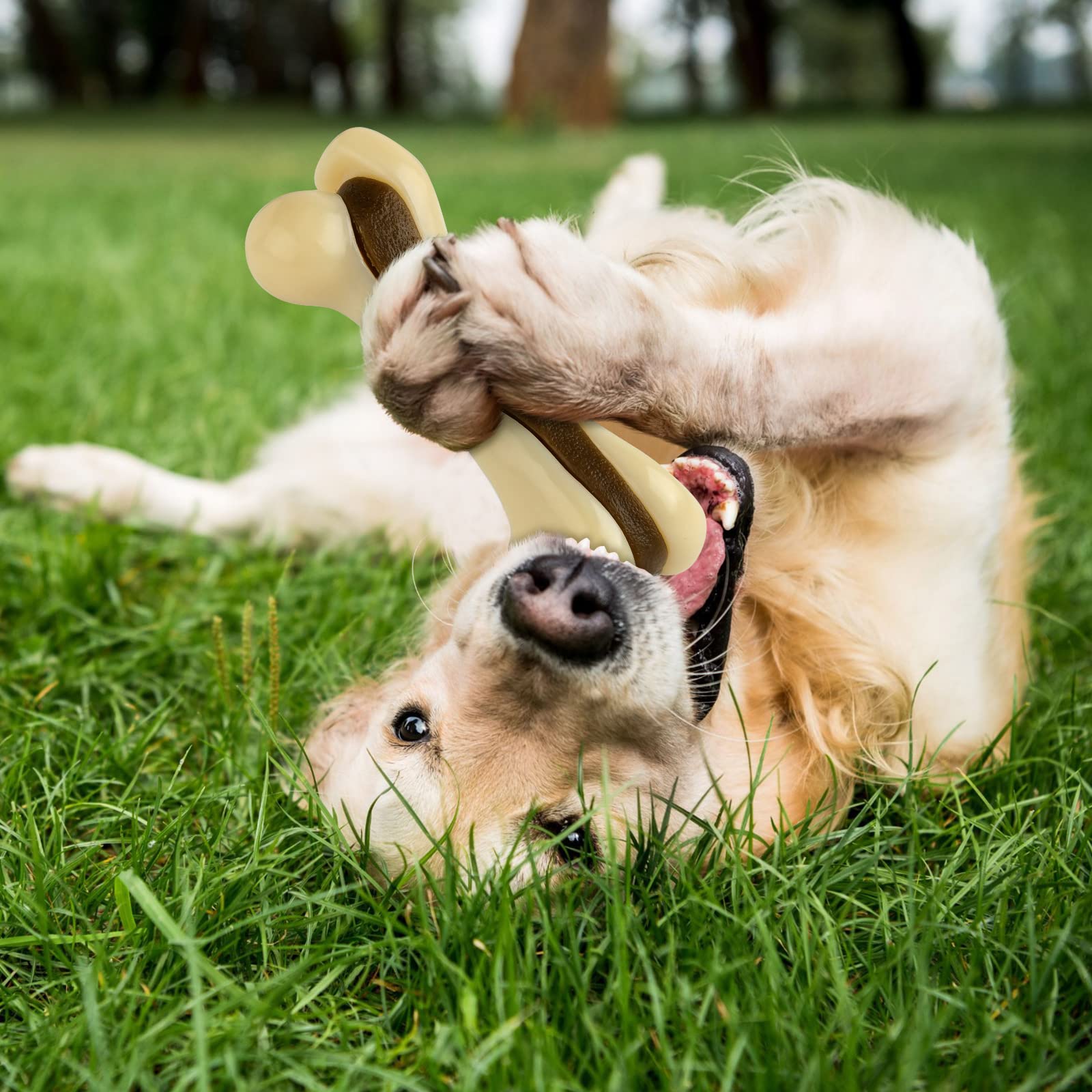 Sosation Christmas pack dog chew toys emphasizes festive gifting and dog entertainment.